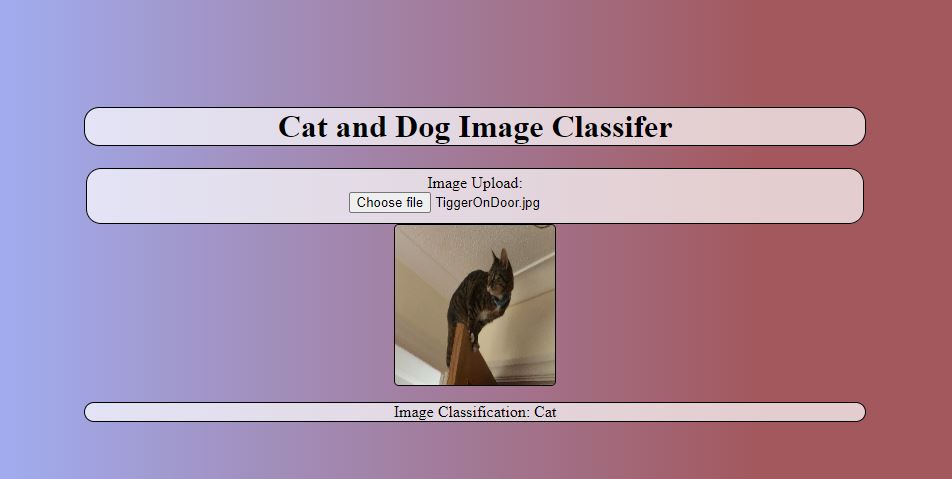 Cat and Dog Image Classifier screenshot